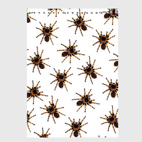 Скетчбук с принтом В пауках в Тюмени, 100% бумага
 | 48 листов, плотность листов — 100 г/м2, плотность картонной обложки — 250 г/м2. Листы скреплены сверху удобной пружинной спиралью | Тематика изображения на принте: pattern | spider | джунгли | дикие | животные | жуки | звери | лапы | мерзкие | монстр | насекомые | паттерн | паук | пауки | паутина | паучок | птицеед | страшный | существа | тараканы | тарантул | тропики