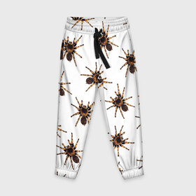 Детские брюки 3D с принтом В пауках в Тюмени, 100% полиэстер | манжеты по низу, эластичный пояс регулируется шнурком, по бокам два кармана без застежек, внутренняя часть кармана из мелкой сетки | pattern | spider | джунгли | дикие | животные | жуки | звери | лапы | мерзкие | монстр | насекомые | паттерн | паук | пауки | паутина | паучок | птицеед | страшный | существа | тараканы | тарантул | тропики