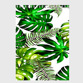 Скетчбук с принтом ГАВАЙСКИЕ ЛИСТЬЯ в Тюмени, 100% бумага
 | 48 листов, плотность листов — 100 г/м2, плотность картонной обложки — 250 г/м2. Листы скреплены сверху удобной пружинной спиралью | summer | tropic | жара | летний | лето | отдых | пальмы | природа | текстура | тропикано | тропики