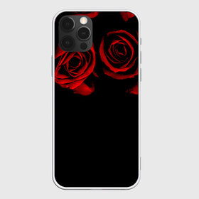 Чехол для iPhone 12 Pro Max с принтом Готика в Тюмени, Силикон |  | black | flowers | red | rose | rozario | vampire | алые | бутоны | вампир | винтаж | готический | красныерозы | кровь | лепестки | летний | лето | ночь | природа | растения | роза | розочка | розы | рок | темный | узор