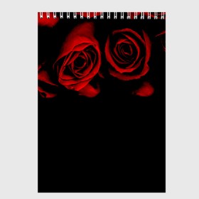 Скетчбук с принтом Готика в Тюмени, 100% бумага
 | 48 листов, плотность листов — 100 г/м2, плотность картонной обложки — 250 г/м2. Листы скреплены сверху удобной пружинной спиралью | black | flowers | red | rose | rozario | vampire | алые | бутоны | вампир | винтаж | готический | красныерозы | кровь | лепестки | летний | лето | ночь | природа | растения | роза | розочка | розы | рок | темный | узор