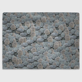 Плед 3D с принтом Каменные лица 3D МЕМ 2020 в Тюмени, 100% полиэстер | закругленные углы, все края обработаны. Ткань не мнется и не растягивается | my stone. | каменные лица | камни с человеческими лицами | мем