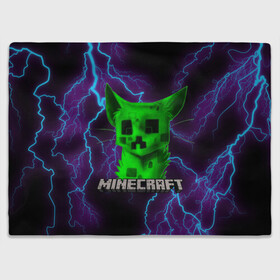 Плед 3D с принтом MINECRAFT CREEPER CAT  в Тюмени, 100% полиэстер | закругленные углы, все края обработаны. Ткань не мнется и не растягивается | Тематика изображения на принте: creeper | game | minecraft | блоки | игра | квадраты | компьютерная | крипер | криппер | майнкрафт | огонь