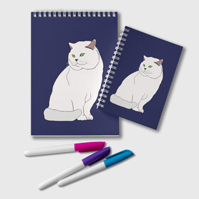 Блокнот с принтом Белый британский котик в Тюмени, 100% бумага | 48 листов, плотность листов — 60 г/м2, плотность картонной обложки — 250 г/м2. Листы скреплены удобной пружинной спиралью. Цвет линий — светло-серый
 | cat | cute | kitten | meow | британец | британский | взгляд | друзья | животные | зверек | зверюшки | каваи | киска | котенок | котик | коты | котята | кошак | кошечки | кошки | лапы | милые | мордочка | мяу | няшные