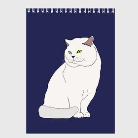 Скетчбук с принтом Белый британский котик в Тюмени, 100% бумага
 | 48 листов, плотность листов — 100 г/м2, плотность картонной обложки — 250 г/м2. Листы скреплены сверху удобной пружинной спиралью | cat | cute | kitten | meow | британец | британский | взгляд | друзья | животные | зверек | зверюшки | каваи | киска | котенок | котик | коты | котята | кошак | кошечки | кошки | лапы | милые | мордочка | мяу | няшные