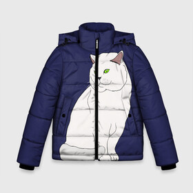 Зимняя куртка для мальчиков 3D с принтом Белый британский котик в Тюмени, ткань верха — 100% полиэстер; подклад — 100% полиэстер, утеплитель — 100% полиэстер | длина ниже бедра, удлиненная спинка, воротник стойка и отстегивающийся капюшон. Есть боковые карманы с листочкой на кнопках, утяжки по низу изделия и внутренний карман на молнии. 

Предусмотрены светоотражающий принт на спинке, радужный светоотражающий элемент на пуллере молнии и на резинке для утяжки | cat | cute | kitten | meow | британец | британский | взгляд | друзья | животные | зверек | зверюшки | каваи | киска | котенок | котик | коты | котята | кошак | кошечки | кошки | лапы | милые | мордочка | мяу | няшные