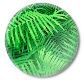 Значок с принтом SUMMER TEXTURE в Тюмени,  металл | круглая форма, металлическая застежка в виде булавки | summer | tropic | жара | летний | лето | отдых | пальмы | природа | текстура | тропикано | тропики