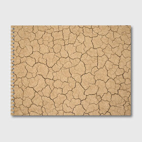 Альбом для рисования с принтом Пустыня в Тюмени, 100% бумага
 | матовая бумага, плотность 200 мг. | Тематика изображения на принте: abstract | абстрактно | абстрактные | абстрактный | абстракция | земля | пустынный | пустыня | трещина | трещины | узор | узоры