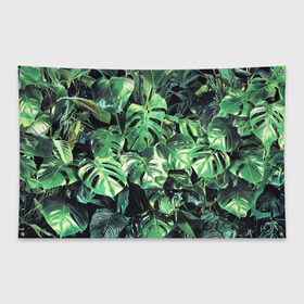 Флаг-баннер с принтом ЛИСТЬЯ в Тюмени, 100% полиэстер | размер 67 х 109 см, плотность ткани — 95 г/м2; по краям флага есть четыре люверса для крепления | summer | tropic | жара | летний | лето | отдых | пальмы | природа | текстура | тропикано | тропики