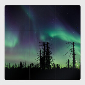 Магнитный плакат 3Х3 с принтом Северное сияние в Тюмени, Полимерный материал с магнитным слоем | 9 деталей размером 9*9 см | Тематика изображения на принте: дерево | деревья | звезда | звездное | звезды | космический | космос | космосе | кусты | лес | леса | лесной | лучи | небо | ночное | ночь | природа | север | северное | сияние | сиянием | сияния