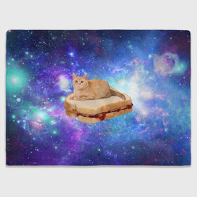 Плед 3D с принтом Кот в космосе в Тюмени, 100% полиэстер | закругленные углы, все края обработаны. Ткань не мнется и не растягивается | cat | cats | space | бутерброд | грозовой кошак | джем | киса | киска | космос | кошак | кошка
