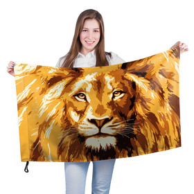 Флаг 3D с принтом Взгляд льва в Тюмени, 100% полиэстер | плотность ткани — 95 г/м2, размер — 67 х 109 см. Принт наносится с одной стороны | арт | грива | деко | жедтая | животные | закат | зверей | золото | кошка | лев | лето | львенок | неоновая | очки | пляж | прайд | разноцветная | солнце | тигр | узоры | царь | яркие