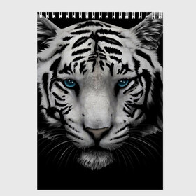 Скетчбук с принтом Белый Тигр в Тюмени, 100% бумага
 | 48 листов, плотность листов — 100 г/м2, плотность картонной обложки — 250 г/м2. Листы скреплены сверху удобной пружинной спиралью | tiger | животное | тигр | тигрица | чернобелый