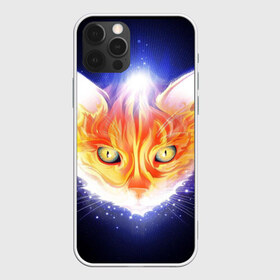 Чехол для iPhone 12 Pro Max с принтом Сеяющий кот в Тюмени, Силикон |  | звёзды | кот | сеяние | чёрный фон