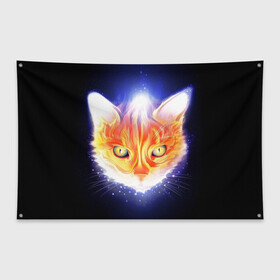 Флаг-баннер с принтом Сеяющий кот в Тюмени, 100% полиэстер | размер 67 х 109 см, плотность ткани — 95 г/м2; по краям флага есть четыре люверса для крепления | звёзды | кот | сеяние | чёрный фон