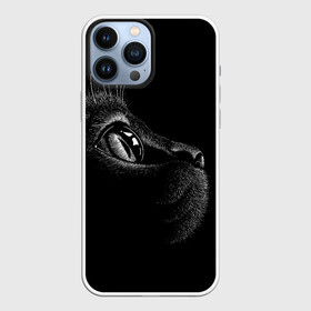 Чехол для iPhone 13 Pro Max с принтом Черный кот в Тюмени,  |  | black | cat | eyes | kitten | kitty | pussy | pussycat | взгляд | глаз | глаза | кот | кота | котенок | коты | котят | котята | котячьи | кошачьи | кошка | кошки | мордочка | нос | носик | с котом | усатый | усики | усища | усищи | че