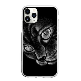 Чехол для iPhone 11 Pro матовый с принтом Волшебный кот в Тюмени, Силикон |  | black | cat | eyes | kitten | kitty | pussy | pussycat | взгляд | глаз | глаза | кот | кота | котенок | коты | котят | котята | котячьи | кошачьи | кошка | кошки | мордочка | нос | носик | с котом | усатый | усики | усища | усищи | че
