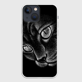 Чехол для iPhone 13 mini с принтом Волшебный кот в Тюмени,  |  | black | cat | eyes | kitten | kitty | pussy | pussycat | взгляд | глаз | глаза | кот | кота | котенок | коты | котят | котята | котячьи | кошачьи | кошка | кошки | мордочка | нос | носик | с котом | усатый | усики | усища | усищи | че