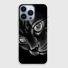 Чехол для iPhone 13 Pro с принтом Волшебный кот в Тюмени,  |  | black | cat | eyes | kitten | kitty | pussy | pussycat | взгляд | глаз | глаза | кот | кота | котенок | коты | котят | котята | котячьи | кошачьи | кошка | кошки | мордочка | нос | носик | с котом | усатый | усики | усища | усищи | че