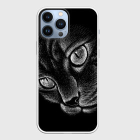 Чехол для iPhone 13 Pro Max с принтом Волшебный кот в Тюмени,  |  | black | cat | eyes | kitten | kitty | pussy | pussycat | взгляд | глаз | глаза | кот | кота | котенок | коты | котят | котята | котячьи | кошачьи | кошка | кошки | мордочка | нос | носик | с котом | усатый | усики | усища | усищи | че