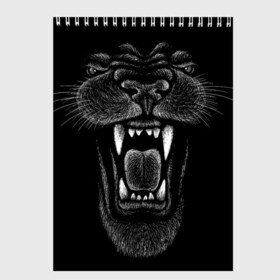 Скетчбук с принтом Черная пантера в Тюмени, 100% бумага
 | 48 листов, плотность листов — 100 г/м2, плотность картонной обложки — 250 г/м2. Листы скреплены сверху удобной пружинной спиралью | big | black | cat | danger | jungle | king | leopard | panter | panther | picture | большая | большой | джунглей | джунгли | зубы | король | кот | кошка | леопард | мелками | опасная | опасный | охотник | пантера | пасть | рисунок | хищник | 
