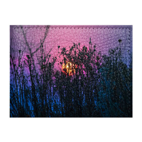 Обложка для студенческого билета с принтом Трава растения закатный свет в Тюмени, натуральная кожа | Размер: 11*8 см; Печать на всей внешней стороне | Тематика изображения на принте: вечер | закат | мило | небо | поле | рассвет | растения | свет | сумерки | сухоцвет