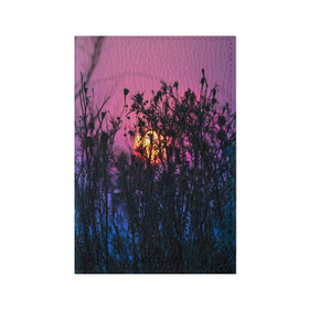 Обложка для паспорта матовая кожа с принтом Трава растения закатный свет в Тюмени, натуральная матовая кожа | размер 19,3 х 13,7 см; прозрачные пластиковые крепления | Тематика изображения на принте: вечер | закат | мило | небо | поле | рассвет | растения | свет | сумерки | сухоцвет
