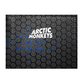 Обложка для студенческого билета с принтом ARCTIC MONKEYS в Тюмени, натуральная кожа | Размер: 11*8 см; Печать на всей внешней стороне | Тематика изображения на принте: alex turner | arctic monkeys | rock | алекс тернер | арктик манкис | рок