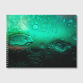 Альбом для рисования с принтом Зеленые капли клетки в Тюмени, 100% бумага
 | матовая бумага, плотность 200 мг. | Тематика изображения на принте: биология | вода | градиент | для всех | дождь | капли | клетки | летний | на каждый день | обычный | окно | поверхность | повседневный | размытость | роса | стекло