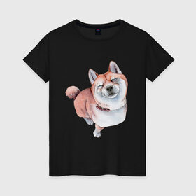Женская футболка хлопок с принтом Акита в Тюмени, 100% хлопок | прямой крой, круглый вырез горловины, длина до линии бедер, слегка спущенное плечо | акита | животные | песокафе | рисунок | собаки