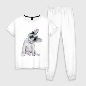 Женская пижама хлопок с принтом бульдог в Тюмени, 100% хлопок | брюки и футболка прямого кроя, без карманов, на брюках мягкая резинка на поясе и по низу штанин | бульдог | животные | песокафе | рисунок | собаки