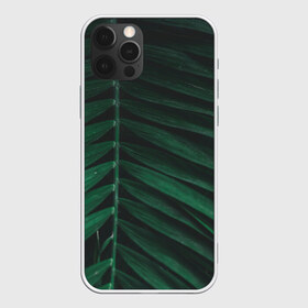 Чехол для iPhone 12 Pro Max с принтом Ветка палмы в Тюмени, Силикон |  | ветка | листья | нуар | пальма | папоротник | природа | экзотика