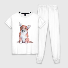 Женская пижама хлопок с принтом корги в Тюмени, 100% хлопок | брюки и футболка прямого кроя, без карманов, на брюках мягкая резинка на поясе и по низу штанин | корги | песокафе | собаки