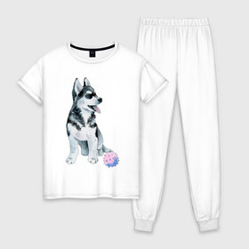 Женская пижама хлопок с принтом Хаски в Тюмени, 100% хлопок | брюки и футболка прямого кроя, без карманов, на брюках мягкая резинка на поясе и по низу штанин | животные | песокафе | рисунок | собаки | хаски
