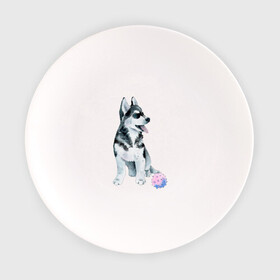 Тарелка с принтом Хаски в Тюмени, фарфор | диаметр - 210 мм
диаметр для нанесения принта - 120 мм | животные | песокафе | рисунок | собаки | хаски
