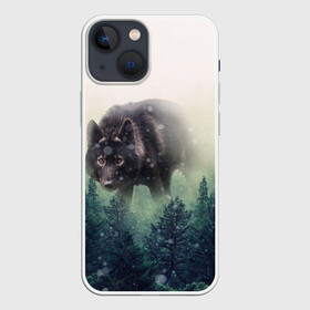 Чехол для iPhone 13 mini с принтом Волк в Тюмени,  |  | альфа | амега | волк | волчонок | дым | зверь | зелёная | зима | красивая | лайка | лес | лесс | омега | пёс | подарок | прикольная | сибирь | сказка | собака | сосны | тайга | фильм | хаски | щенок