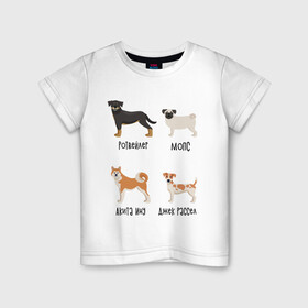 Детская футболка хлопок с принтом ротвейлер мопс акита джек в Тюмени, 100% хлопок | круглый вырез горловины, полуприлегающий силуэт, длина до линии бедер | акита ину | джек рассел | мопс | песокафе | ротвейлер | собаки