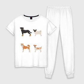 Женская пижама хлопок с принтом акита джек белый в Тюмени, 100% хлопок | брюки и футболка прямого кроя, без карманов, на брюках мягкая резинка на поясе и по низу штанин | Тематика изображения на принте: акита | джек рассел | мопс | песокафе | ротвейлер | собаки