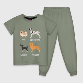 Детская пижама хлопок с принтом шпиц ретривер белый в Тюмени, 100% хлопок |  брюки и футболка прямого кроя, без карманов, на брюках мягкая резинка на поясе и по низу штанин
 | далматинец | песокафе | ретривер | собаки | чихуахуа | шпиц