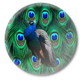Значок с принтом Павлин на фоне своих перьев в Тюмени,  металл | круглая форма, металлическая застежка в виде булавки | павлин | павлины | перья павлина | птицы