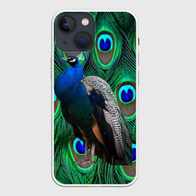Чехол для iPhone 13 mini с принтом Павлин на фоне своих перьев в Тюмени,  |  | павлин | павлины | перья павлина | птицы