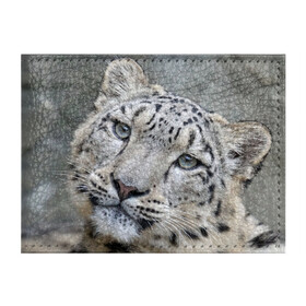 Обложка для студенческого билета с принтом Ирбис в Тюмени, натуральная кожа | Размер: 11*8 см; Печать на всей внешней стороне | snow leopard | барс | барсы | животное | животные | звери | зверь | зима | зимы | ирбис | киски | кот | коты | кошачьи | кошка | кошки | мохнатые | мохнатый | пятнистые | пятнистый | снег | снежный