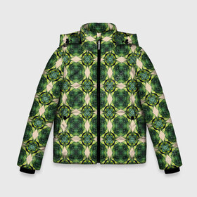 Зимняя куртка для мальчиков 3D с принтом Зеленые драгоценности в Тюмени, ткань верха — 100% полиэстер; подклад — 100% полиэстер, утеплитель — 100% полиэстер | длина ниже бедра, удлиненная спинка, воротник стойка и отстегивающийся капюшон. Есть боковые карманы с листочкой на кнопках, утяжки по низу изделия и внутренний карман на молнии. 

Предусмотрены светоотражающий принт на спинке, радужный светоотражающий элемент на пуллере молнии и на резинке для утяжки | 