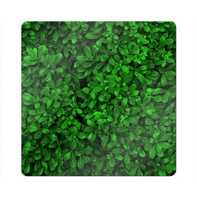 Магнит виниловый Квадрат с принтом Свежая трава в Тюмени, полимерный материал с магнитным слоем | размер 9*9 см, закругленные углы | Тематика изображения на принте: арт | зелёный | светлый | тёмный | четкий
