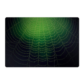 Магнитный плакат 3Х2 с принтом Паутина в лесу в Тюмени, Полимерный материал с магнитным слоем | 6 деталей размером 9*9 см | Тематика изображения на принте: бусины | зеленый | капли | капли воды | лестница | паутина | раса