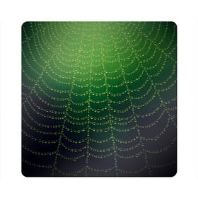 Магнит виниловый Квадрат с принтом Паутина в лесу в Тюмени, полимерный материал с магнитным слоем | размер 9*9 см, закругленные углы | бусины | зеленый | капли | капли воды | лестница | паутина | раса