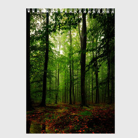 Скетчбук с принтом Лес в Тюмени, 100% бумага
 | 48 листов, плотность листов — 100 г/м2, плотность картонной обложки — 250 г/м2. Листы скреплены сверху удобной пружинной спиралью | деревья | земля . | лес | листья | лучи