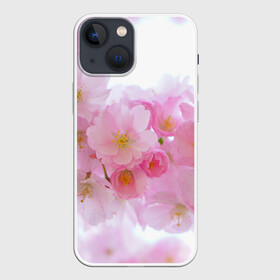 Чехол для iPhone 13 mini с принтом Сакура в Тюмени,  |  | красивые | лето | летоахлето | летовернись | летожара | летонеуходи | летоцветы | леточко | любовь | много | много цветов | насекомые | радость | сакура | цветы