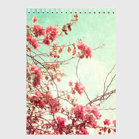 Скетчбук с принтом Цветы в Тюмени, 100% бумага
 | 48 листов, плотность листов — 100 г/м2, плотность картонной обложки — 250 г/м2. Листы скреплены сверху удобной пружинной спиралью | весна | дерево | природа | розы | цветок | цветы