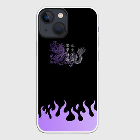 Чехол для iPhone 13 mini с принтом Дракон и огонь в Тюмени,  |  | градиент | дракон | иероглифы | китай | китайская надпись | китайские иероглифы | надпись | огонь | пламя